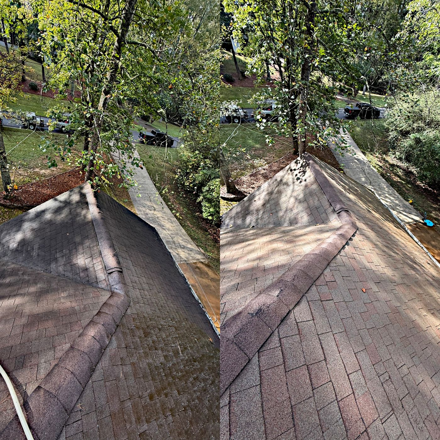 Roof cleaning result — black streaks removed from shingles