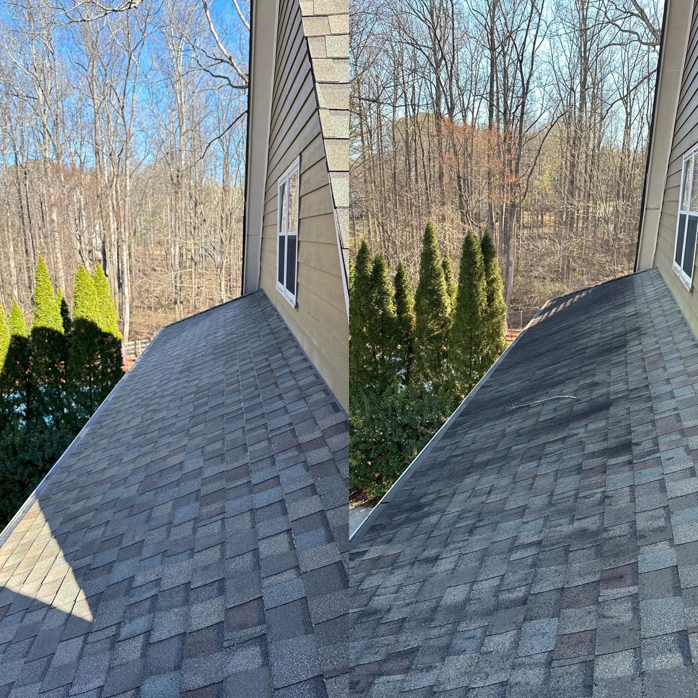 Roof cleaning result — black streaks removed from shingles