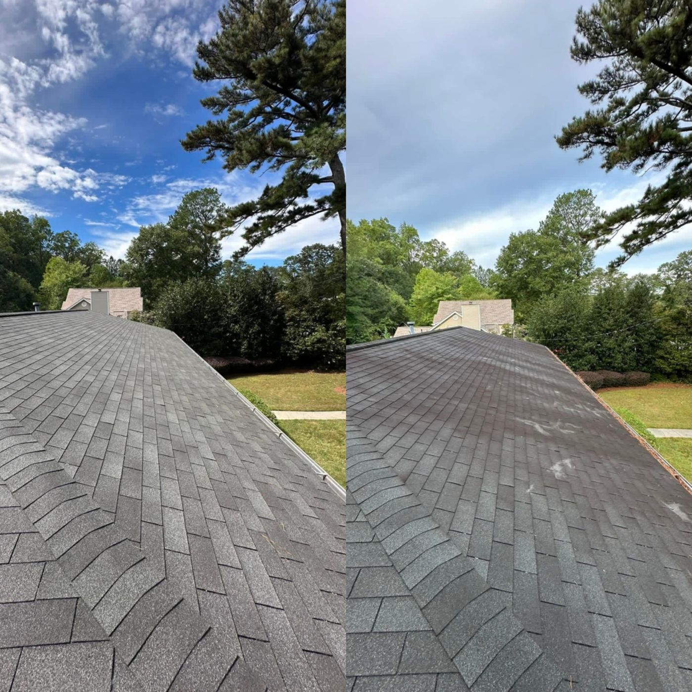 Roof cleaning result — black streaks removed from shingles