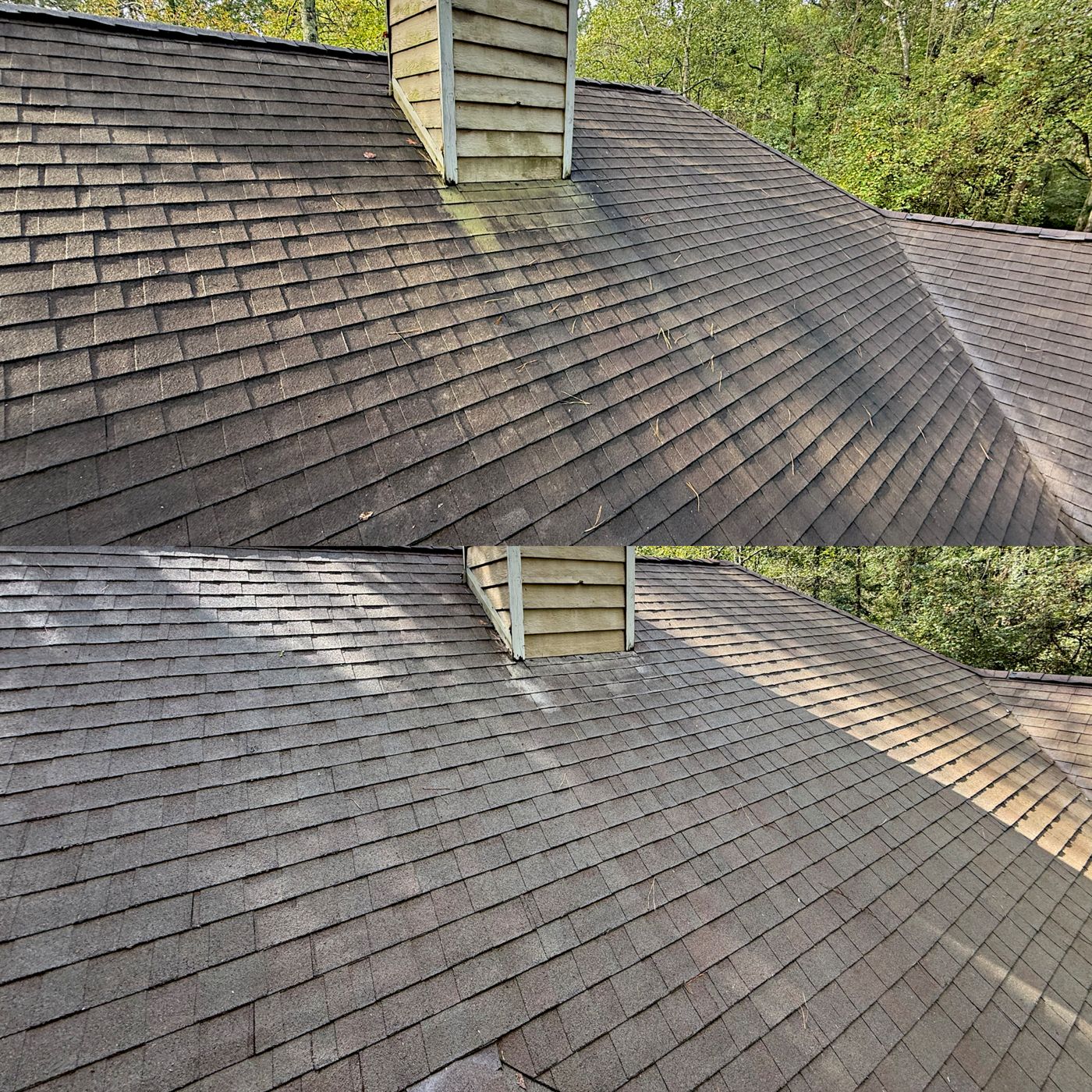 Roof cleaning result — black streaks removed from shingles