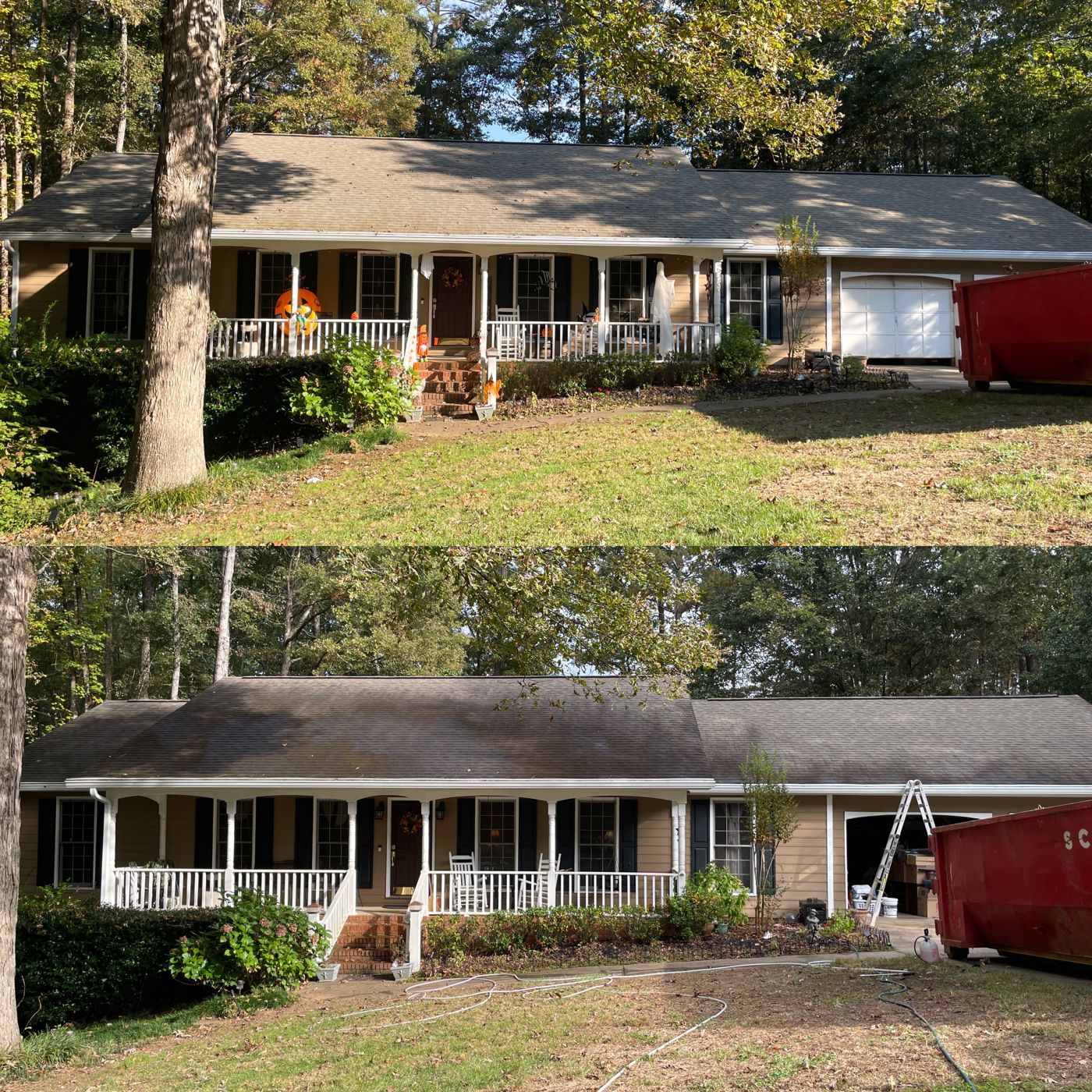 Roof cleaning result — black streaks removed from shingles