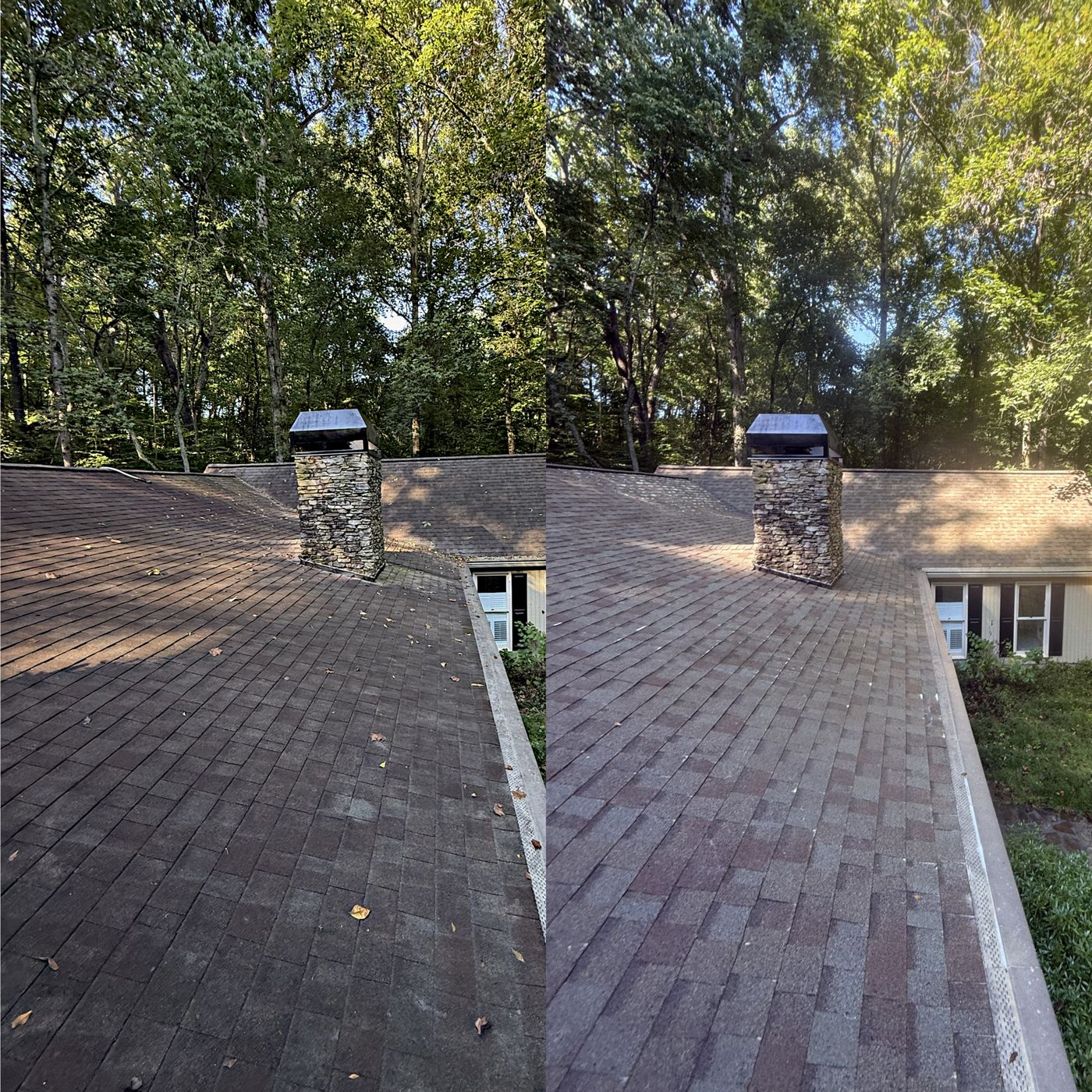 Roof cleaning result — black streaks removed from shingles