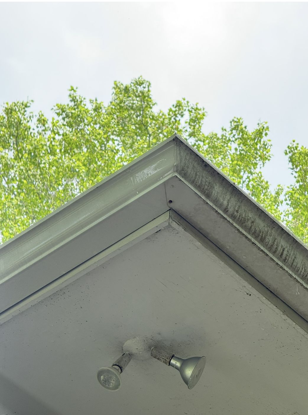 Roof cleaning result — black streaks removed from shingles