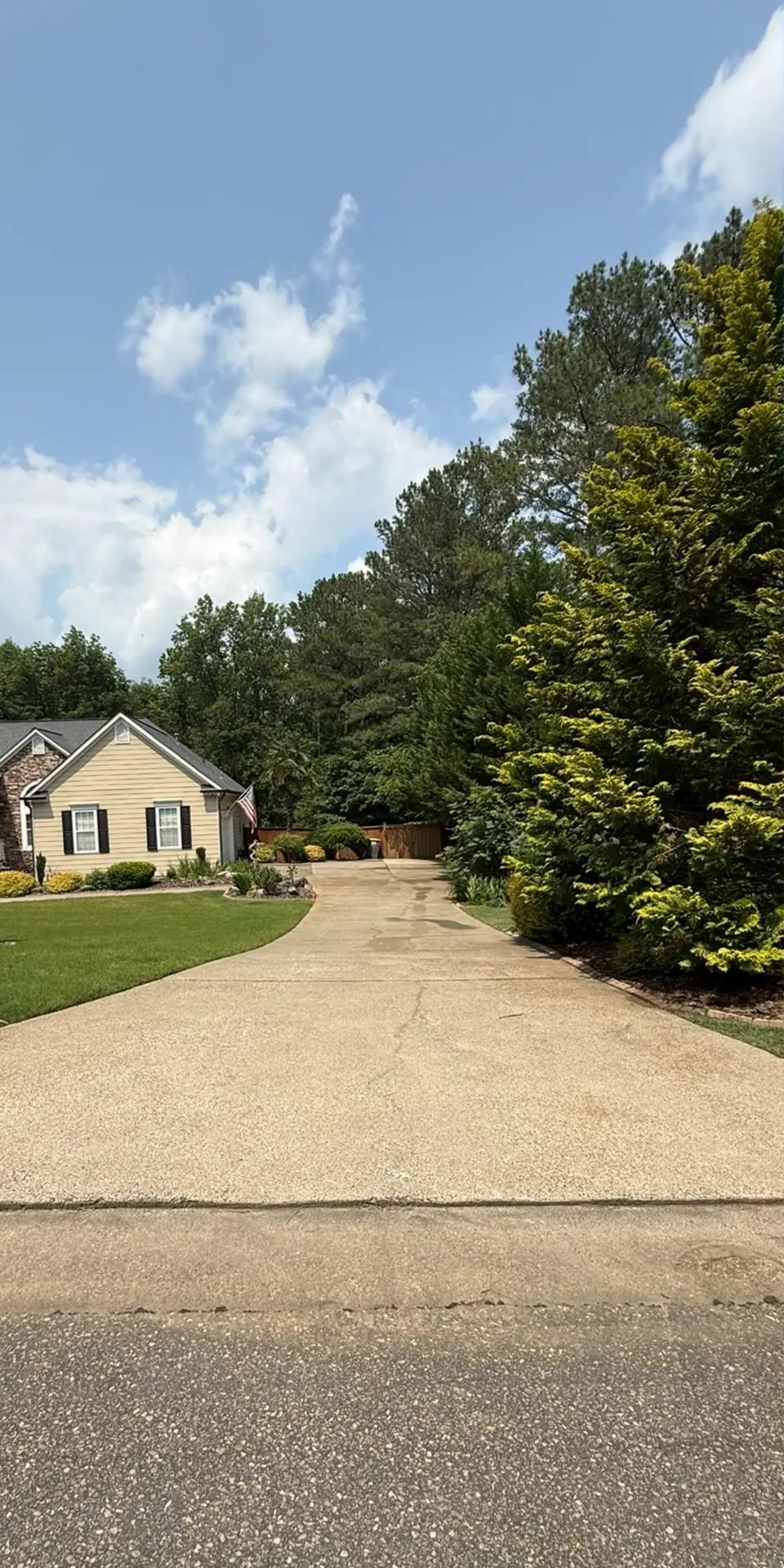 Bright, clean concrete driveway after professional surface cleaning