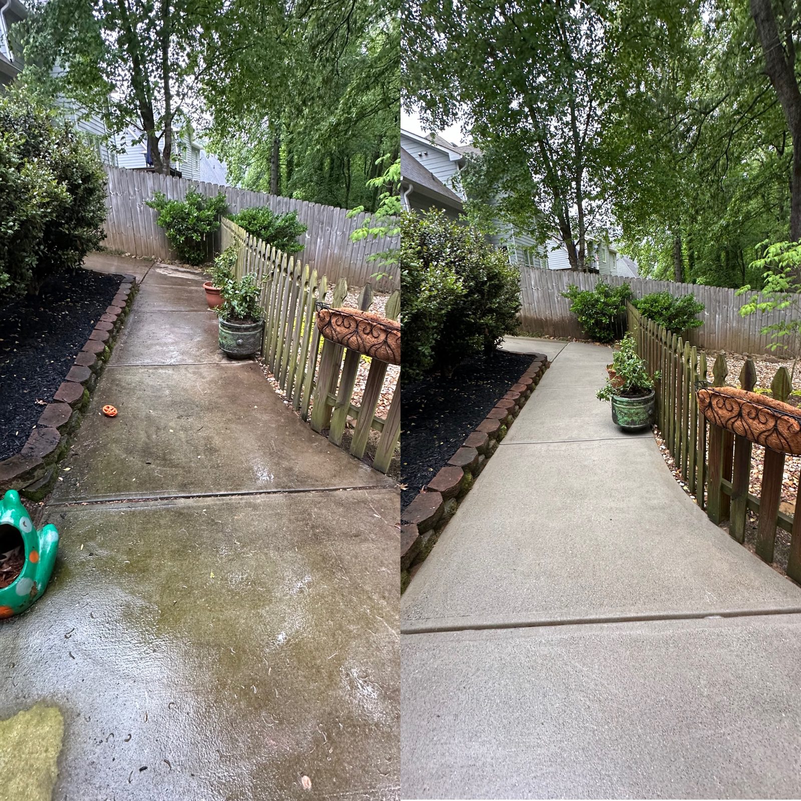 Concrete walkway half dirty with algae and half cleaned, showing a sharp cleaning line