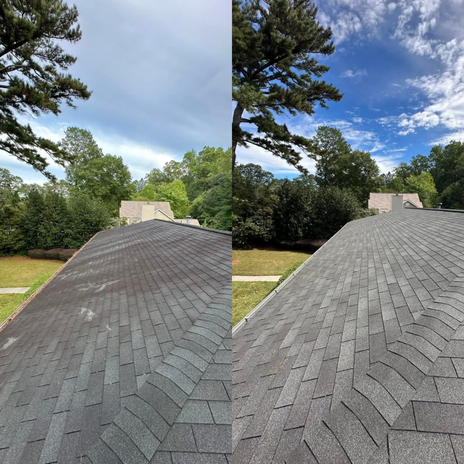 Asphalt shingle roof with black algae streaks beside a cleaned section